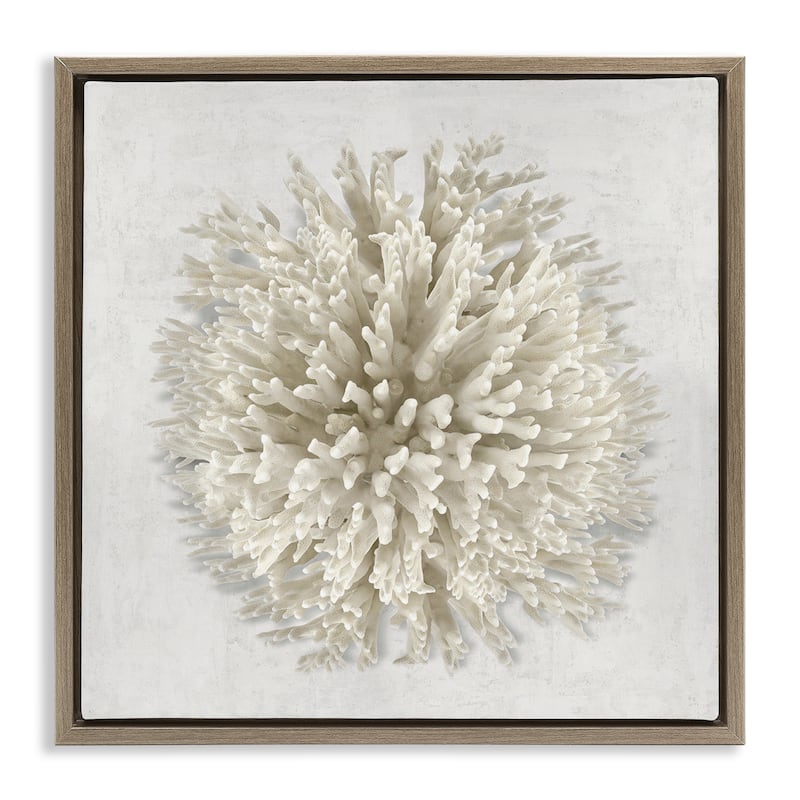 Stupell Natural Round Coral Framed Floater Canvas Wall Art Design By Caroline Kelly - 18 x 18 - Brown