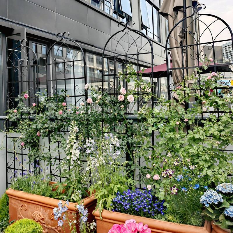 2 Pack Metal Garden Rustproof Trellis for Climbing Plants