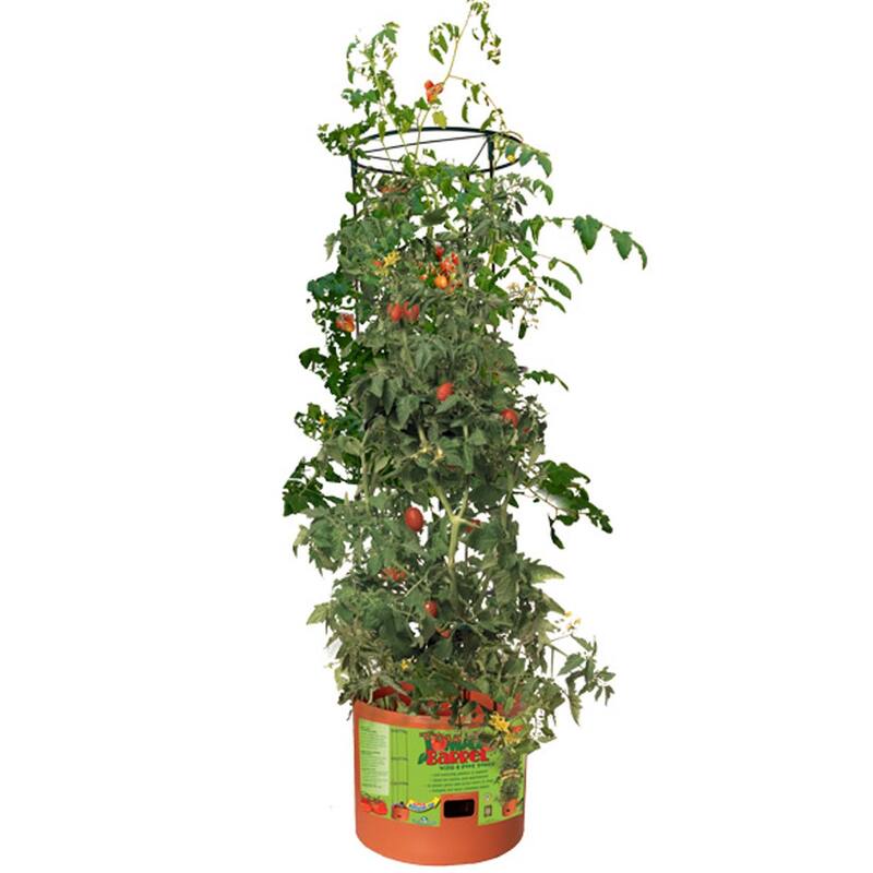 Hydrofarm GCTB Tomato Pot Garden Planting System with 4 Foot Trellis (4 Pack)