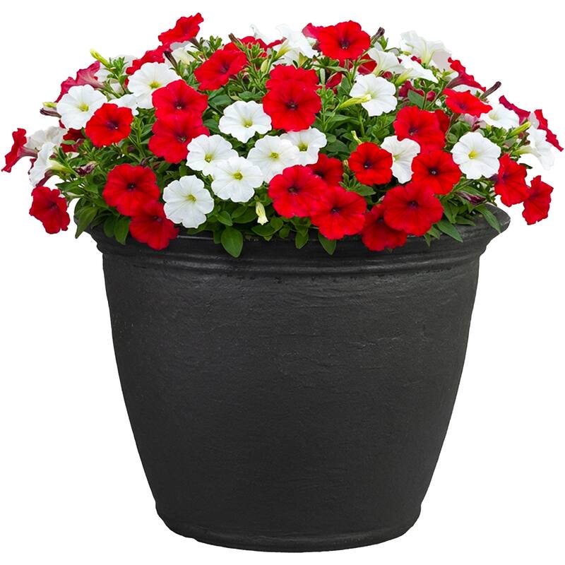 Sunnydaze Anjelica Polyresin Large Round Outdoor Planter