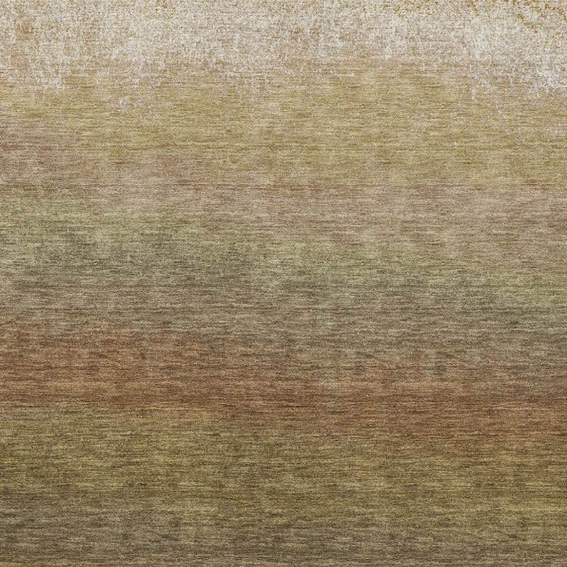 HomeRoots Ombre Transitional Rectangle Outdoor Rug