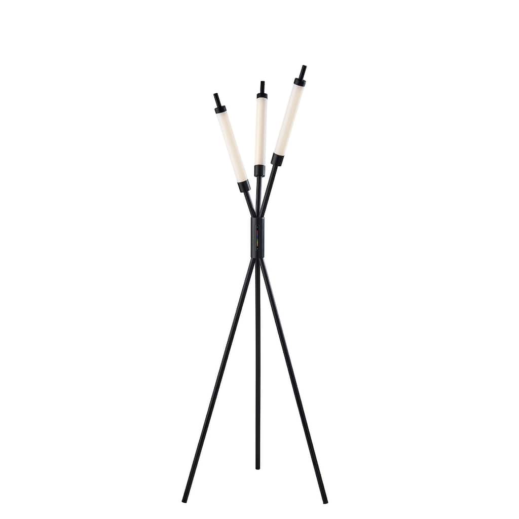 Collin LED Color Changing 3 Light Floor Lamp