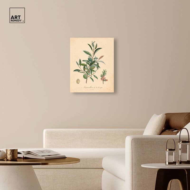 Almond of Georgia I Canvas by Art Remedy, Gallery Wrapped