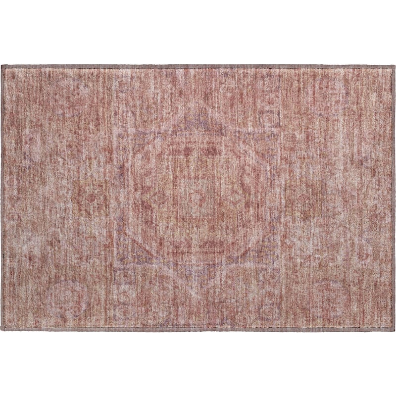 Premium Washable Super Soft Vintage Traditional Mayfield Rug