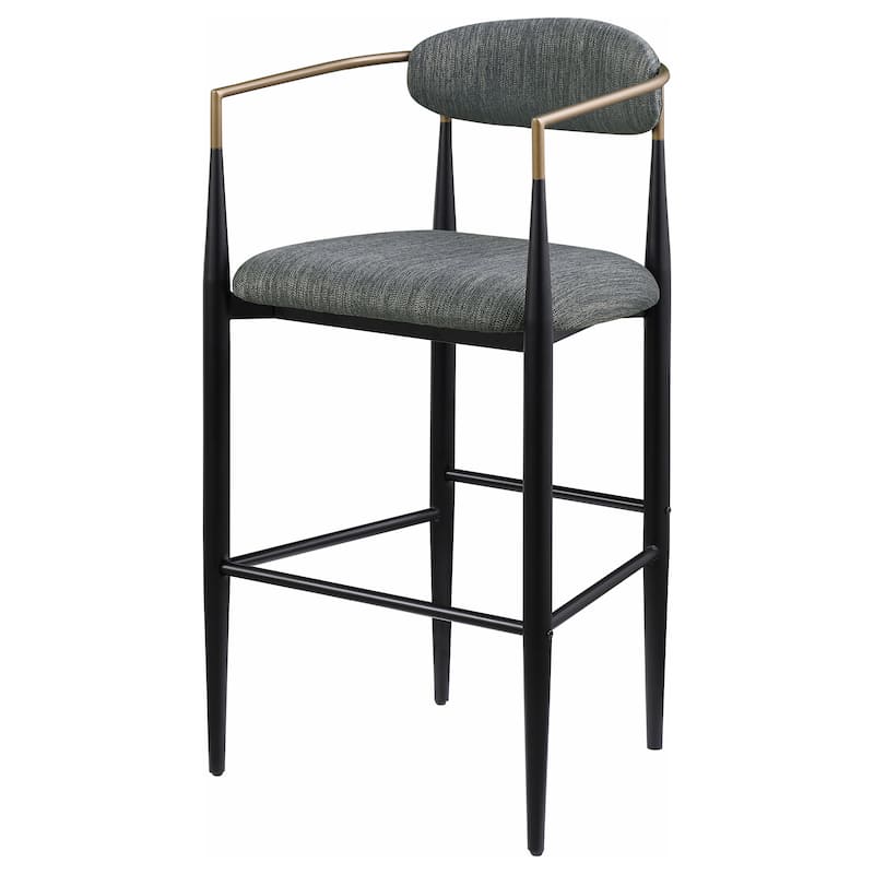 Tina Fabric Upholstered Metal Armrests Chairs (Set of 2)