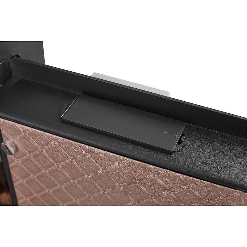 Safe Box with Biometric Recognition, Built-in Removable And Flexible Compartment Partition, Dual Protection