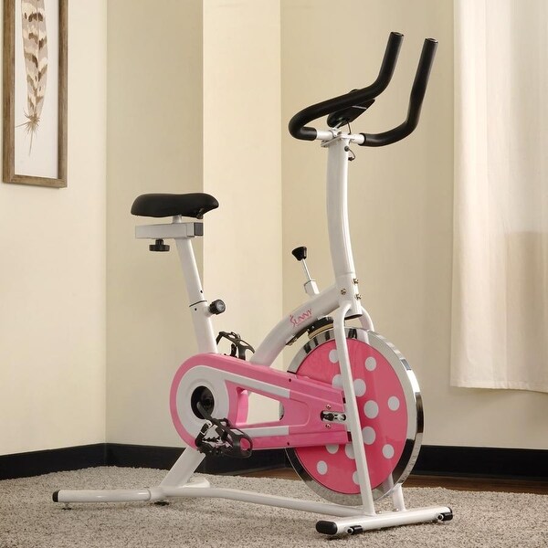 sunny health & fitness indoor cycle trainer