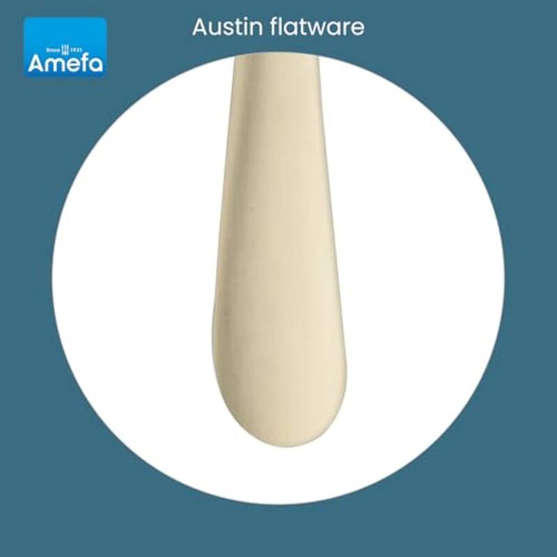 Amefa Austin 20 Piece Flatware Set - 4.5" L x 10" W x 3.5" H