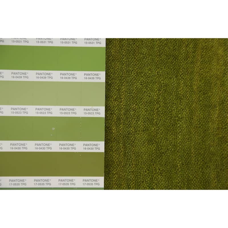 Hand Knotted Oriental 100% Wool Carpet Tribal Animal Pictorial Green Gabbeh Area Rug - 3' 9'' X 2' 0''