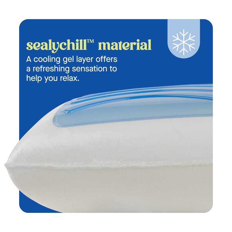 Sealy Dreamlife Memory Foam Gel Pillow, King
