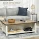 Option Arctic White