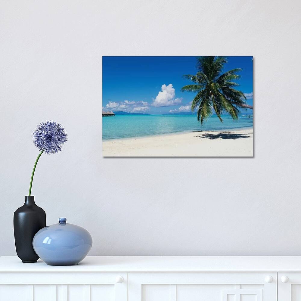 iCanvas "Palm Tree On The Beach, Moana Beach, Bora Bora, Tahiti, French Polynesia" by Panoramic Images Canvas Print