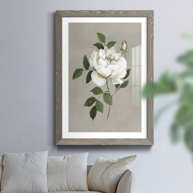 Botanical Rose-Premium Framed Print - Ready to Hang