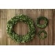 preview thumbnail 3 of 5, Preserved Genuine Boxwood Wreath