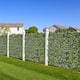 Option Cape Jasmine