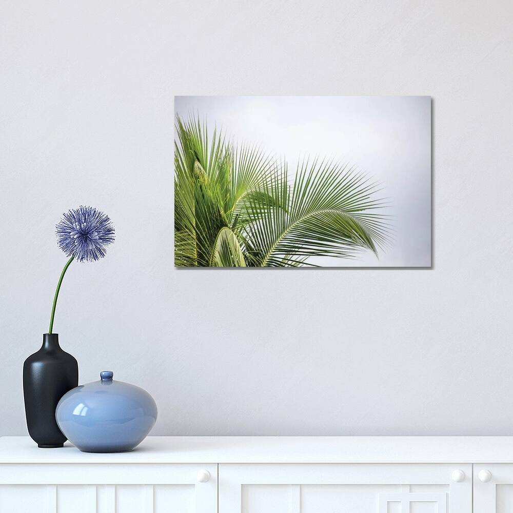 iCanvas "Palm Tree" by Mark Paulda Canvas Print