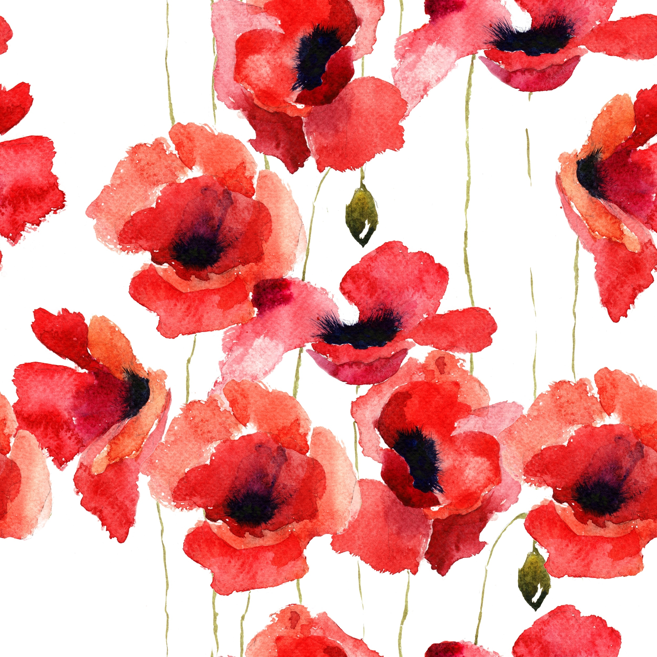 seamless watercolor pattern with transparent poppy flowers transparent  flowers and leaves of poppy red color isolated on white background print  for fabric wallpaper wrapper 9463697 Vector Art at Vecteezy