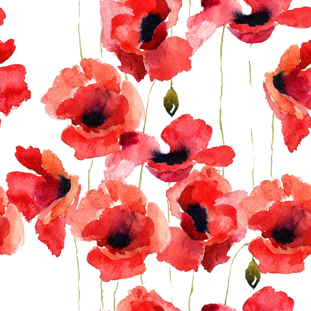 Karisma Red Poppy Seamless Removable Wallpaper - 24'' inch x 10'ft