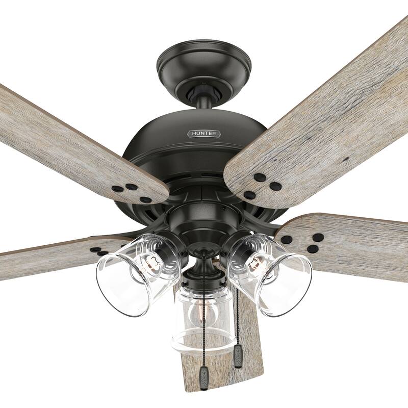 Hunter 52" Shady Grove Ceiling Fan with LED Light Kit/ Pull Chain, Standard or Flush Mount - Casual, Transitional