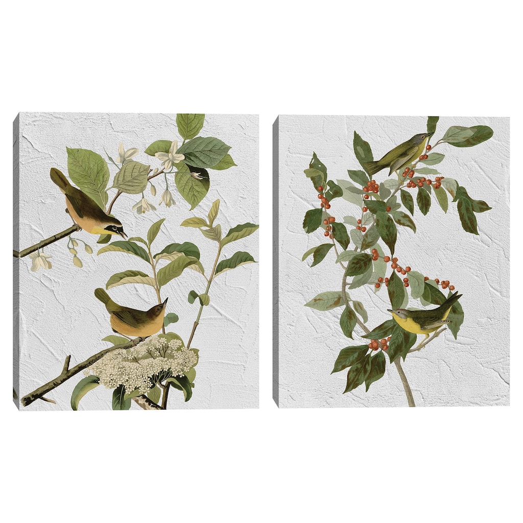Audubon Yellow Breasted & Audubon Nashville Warbler Texture by Design Lab Canvas Art Prints
