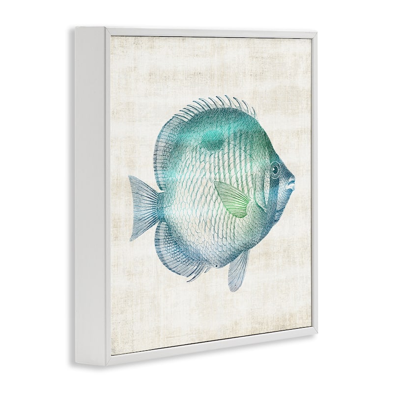 Stupell Fish Impression Sea Life Framed Giclee Art Design By Susan Arnot