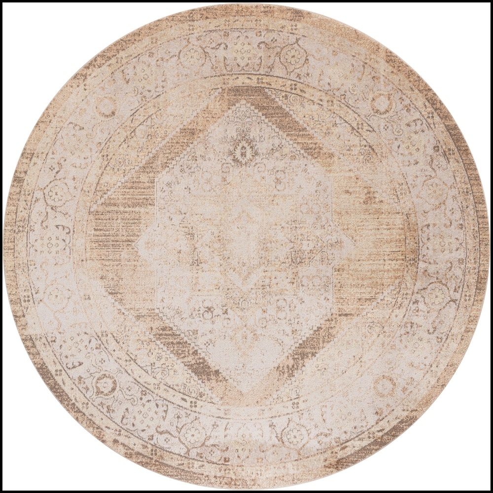 Nourison Astra Machine Washable Persian Area Rug