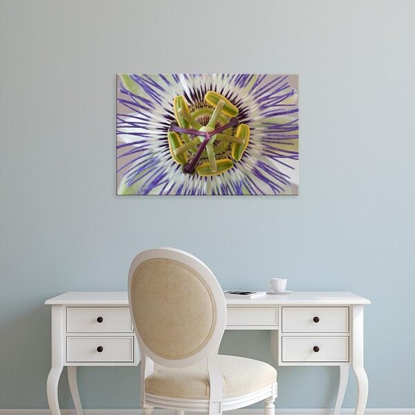 Easy Art Prints Jaynes Gallery's 'Macro Of Top View Of Passion Flower' Premium Canvas Art