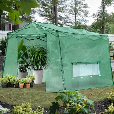 Cozywor Outdoor Green Pop-up Walk-in Greenhouse