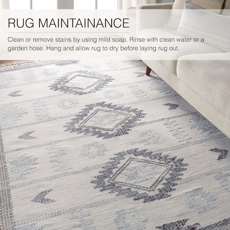 Tazia Handwoven Indoor/Outdoor Tribal Area Rug