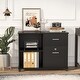 preview thumbnail 10 of 17, Mobile Lateral File Pedesta, 2 Drawer File Cabinet with Lock