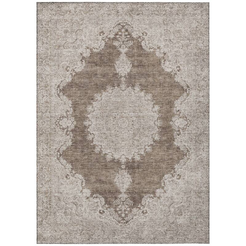 Machine Washable Indoor/ Outdoor Vintage Traditional Chantille Rug