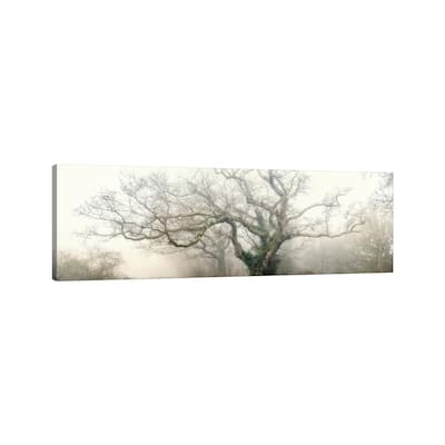 iCanvas "Panoramic Octopus Ghost Oak" by Philippe Manguin Canvas Print