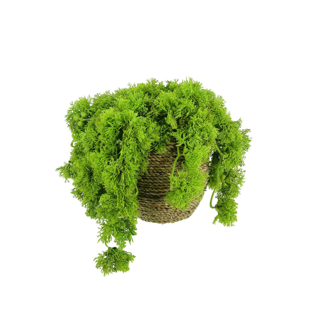 Moss Arrangement in Rope Pot - Green