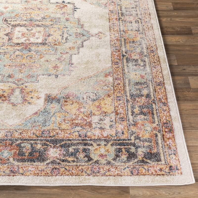 Hari Vintage Persian Area Rug