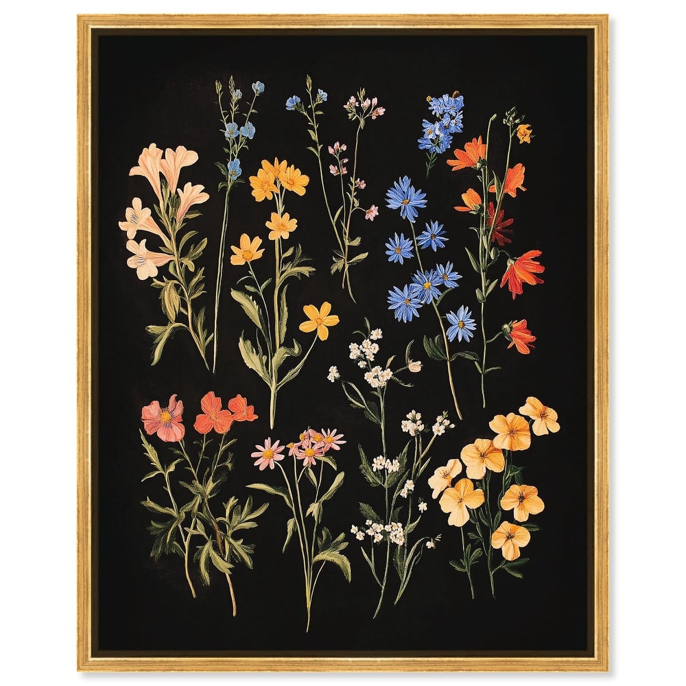 Darkling Daisies II Canvas by Art Remedy