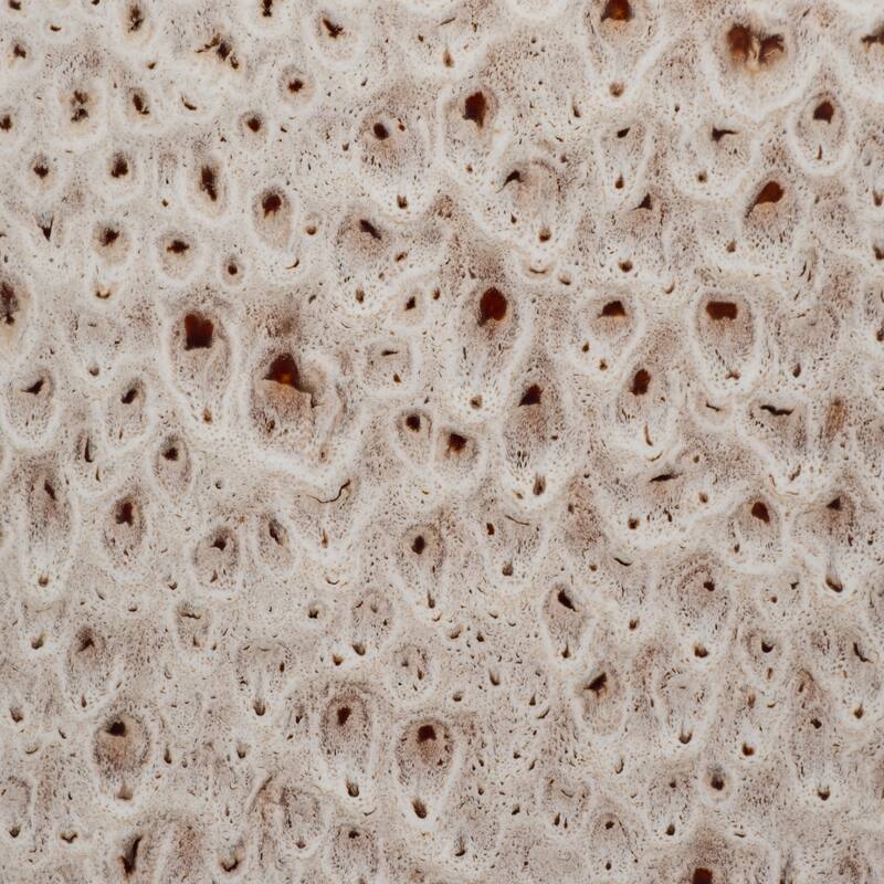 Sagebrook Home's Stoneware Truman Vase, Elegant Design for Modern Living