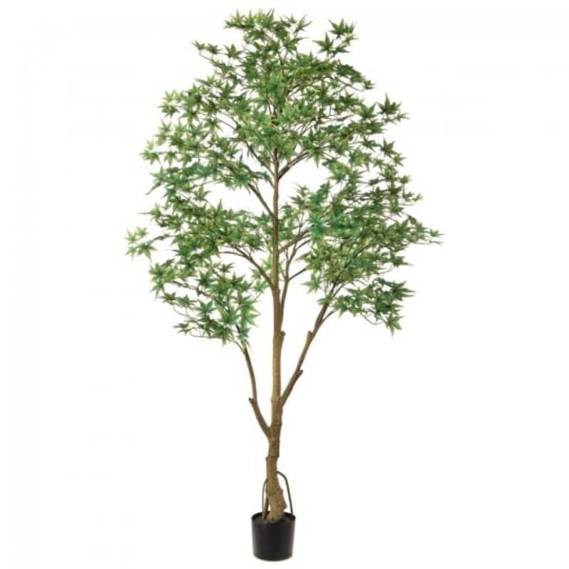 Light Green Potted Japanese Maple Tree Faux Plants And Trees