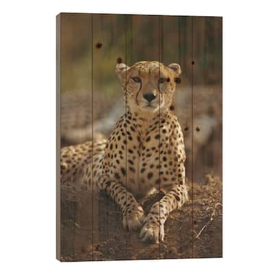 Cheetah, Masai Mara, Kenya Print On Wood by Gerry Ellis - Multi-Color