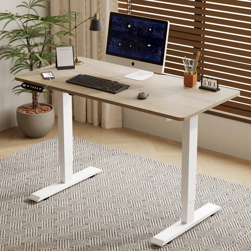 Rossetta 55" Electric Height Adjustable Standing Desk with Double Beam Single Motor