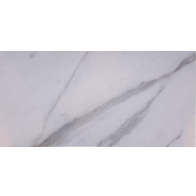 The Tile Life Philadelphia 12x24 Bianco Carrara Porcelain Floor & Wall Tile