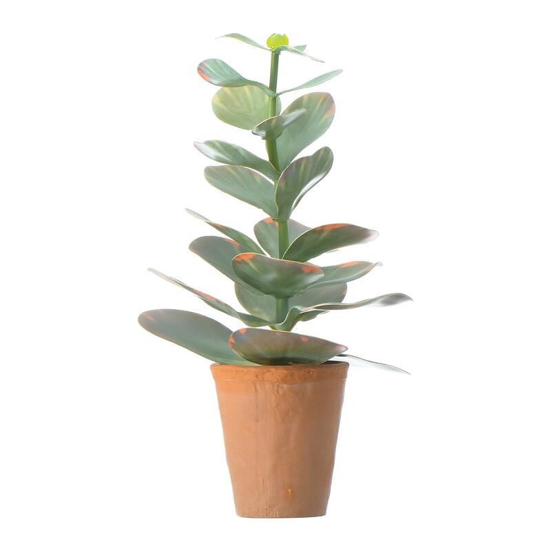 Faux Succulent in Terracotta Colored Pot