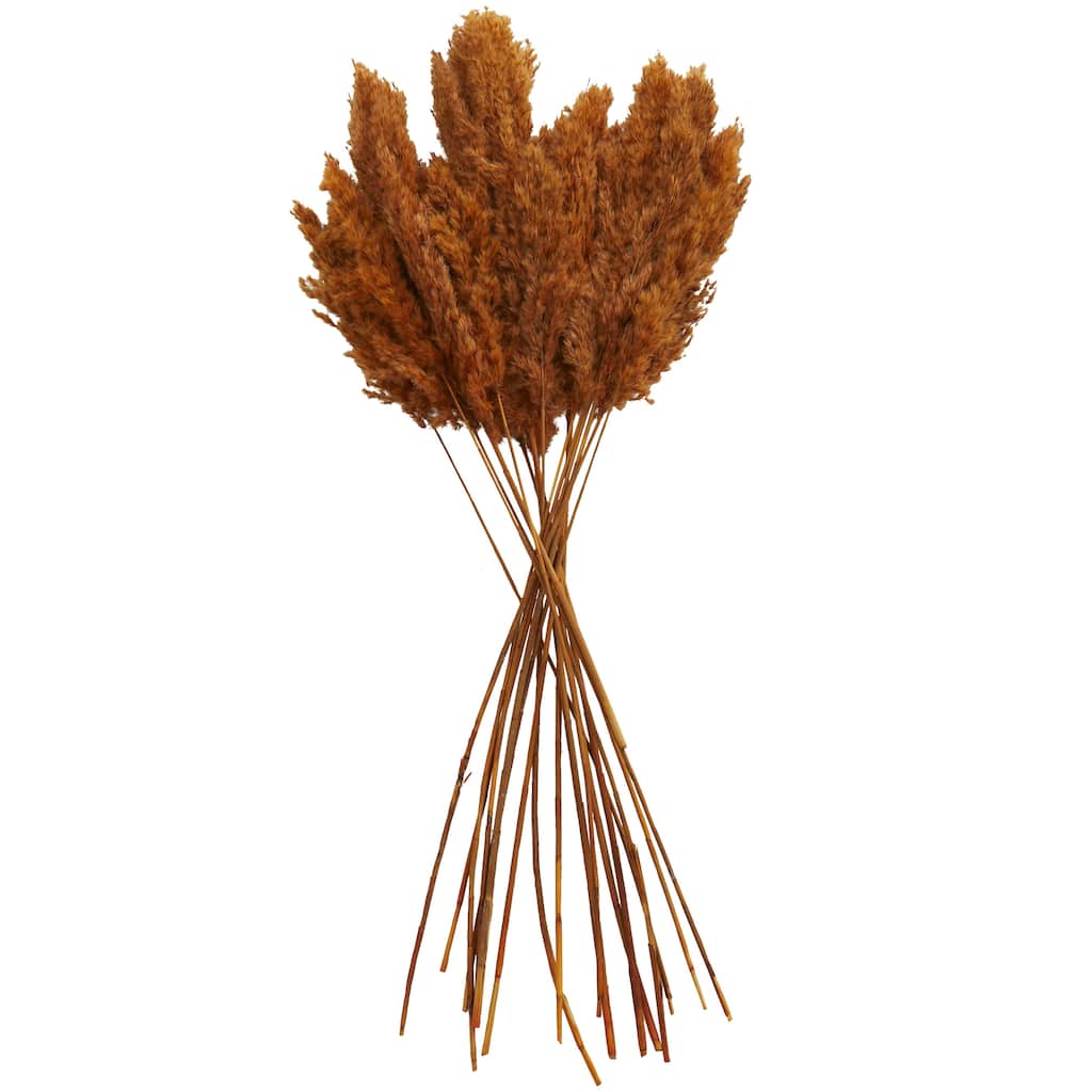 Dried Plant Pampas Grass Home Decor Natural Foliage with Long Stems - Orange - Roche River Decor