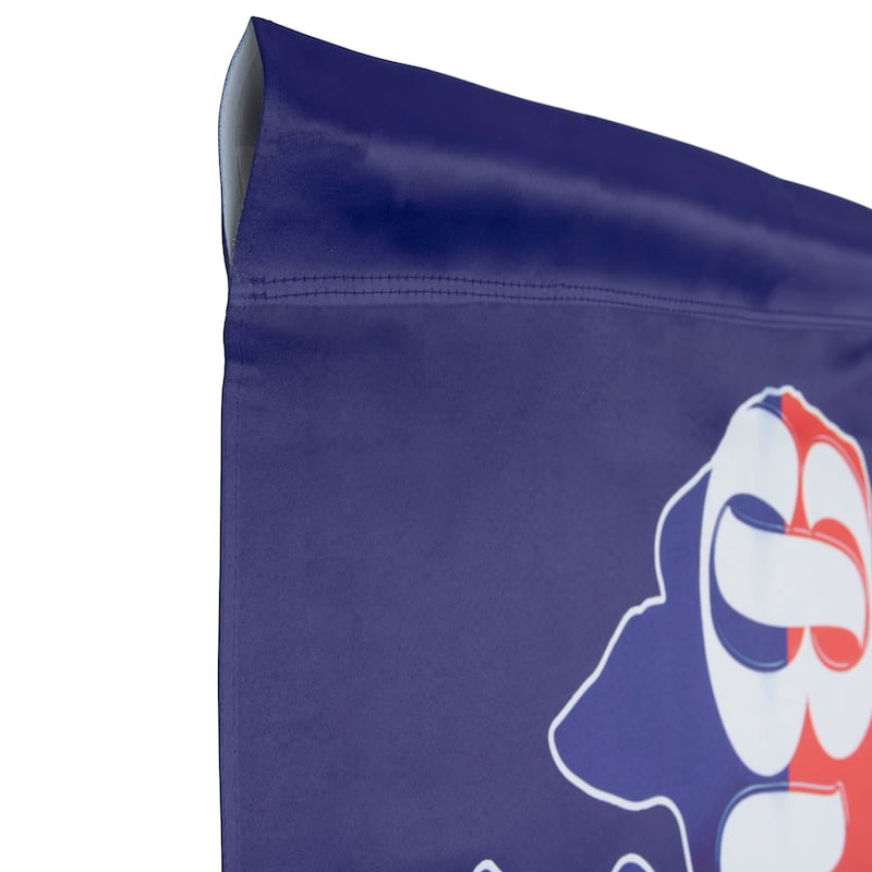 Blue and Red Buffalo Outdoor House Flag 40" x 28"