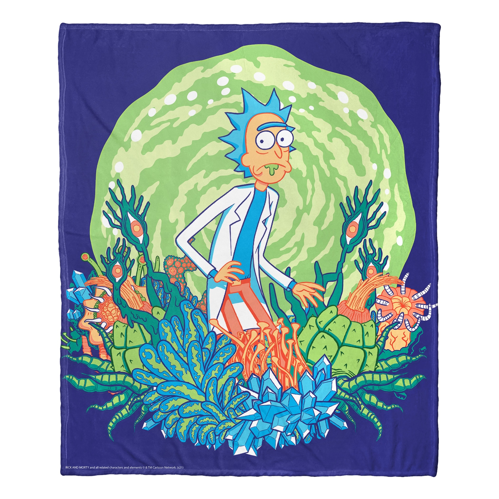 Warner Brothers Rick & Morty Where is Rick Silk Touch Throw Blanket