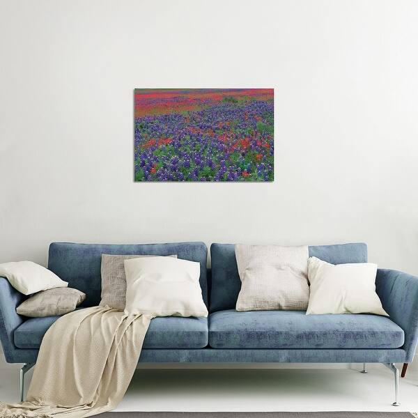 Sand And Paintbrush Flowers, Hill Country, Texas I Print On