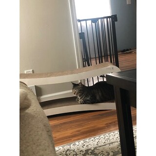 Shop Petfusion Jumbo Cat Scratcher Lounge White Overstock 9234619