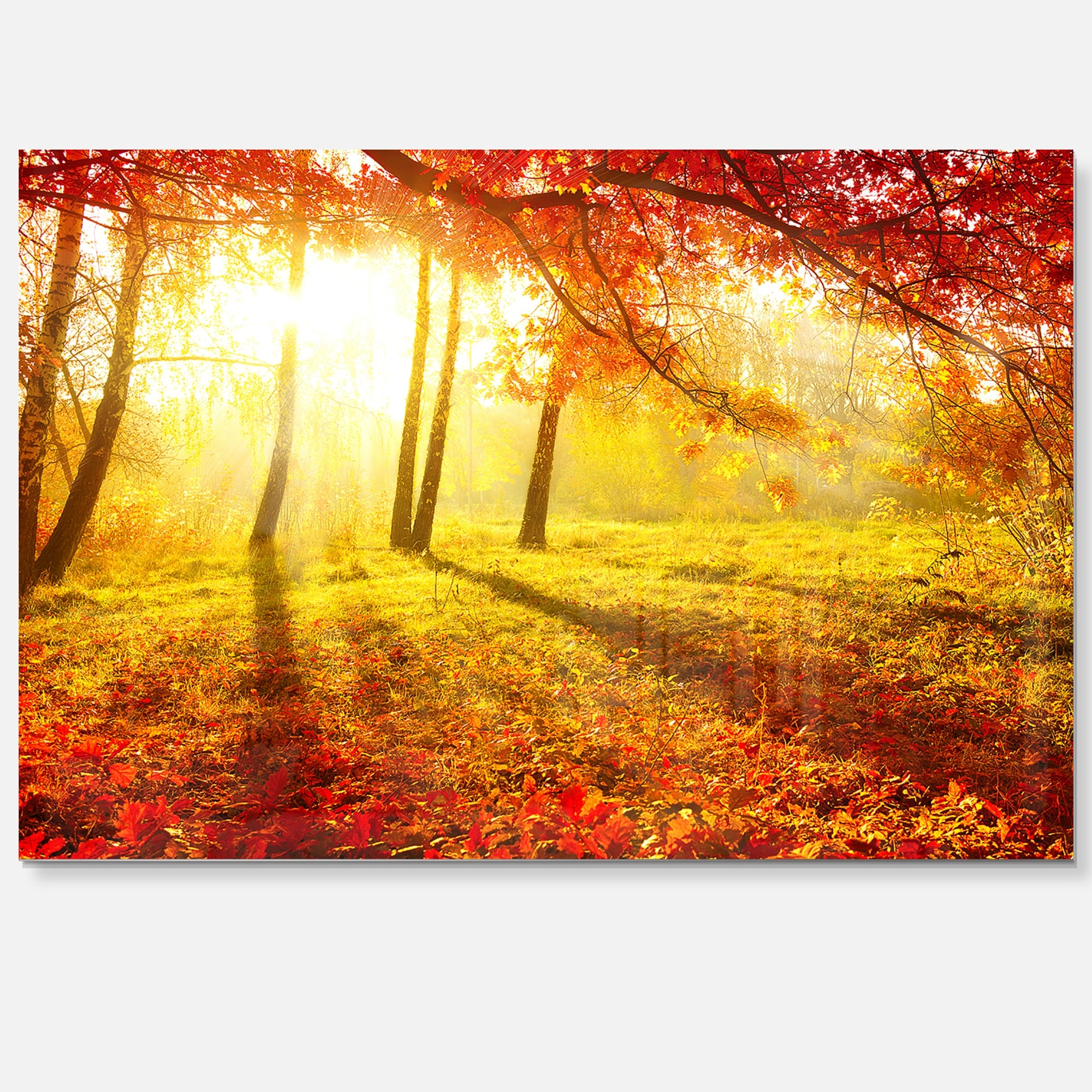 Designart 'Autumnal Park' Landscape Photography Metal Wall Small - Picture 11 of 15