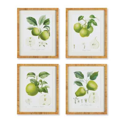 Fruit Study, Set Of 4