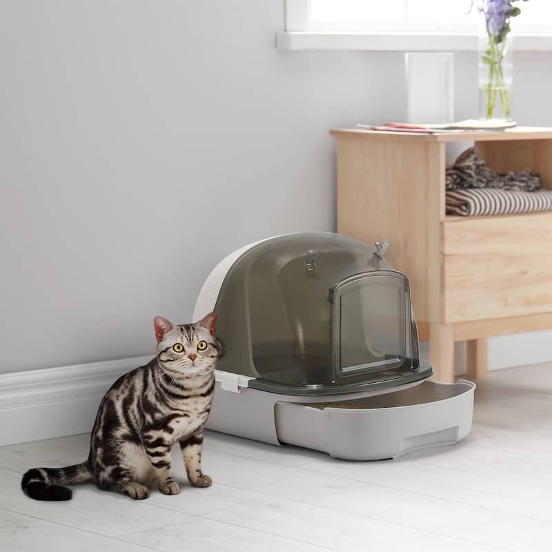 Cat Litter Box with Scoop