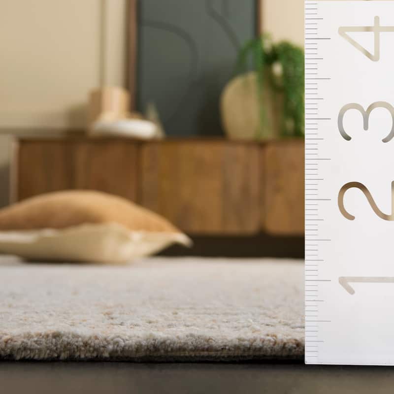 SAFAVIEH Handmade Harvest Sheera Modern Wool Rug